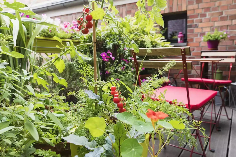 26 Vegetable Garden Ideas for Fresh Homegrown Produce 12 Curate a Cute Balcony Garden