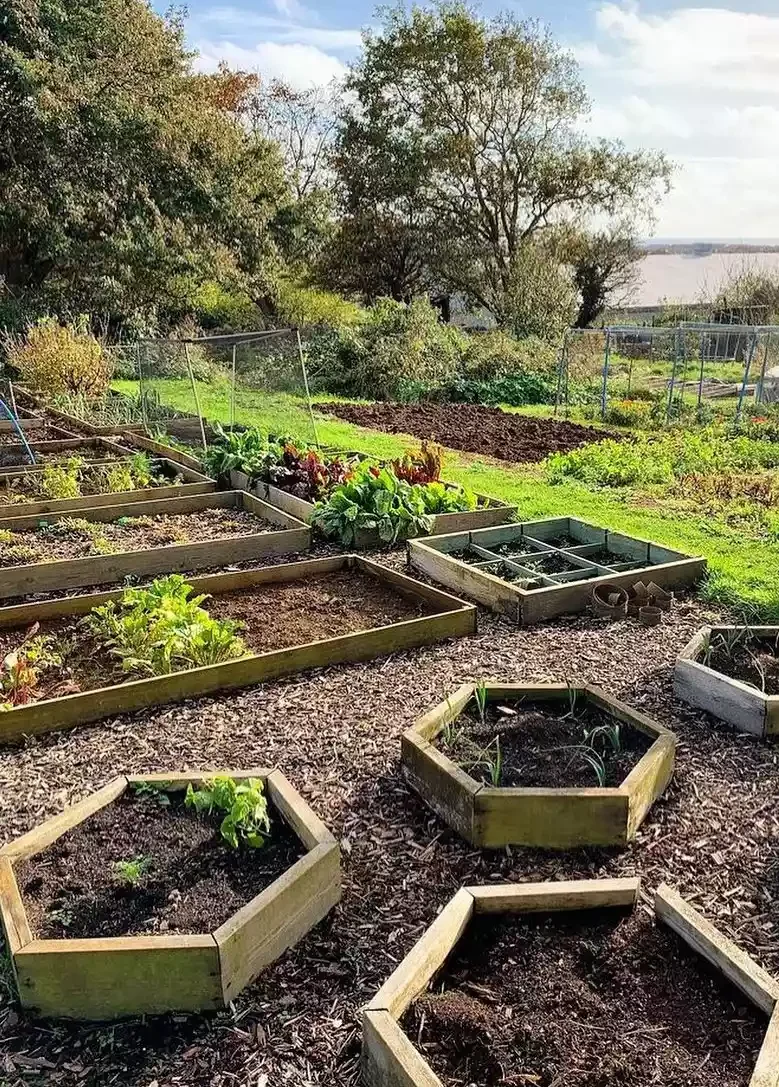 32 Creative Raised Garden Bed Ideas for Your Outdoor Space 19 Custom-Designed DIY Raised Garden Beds