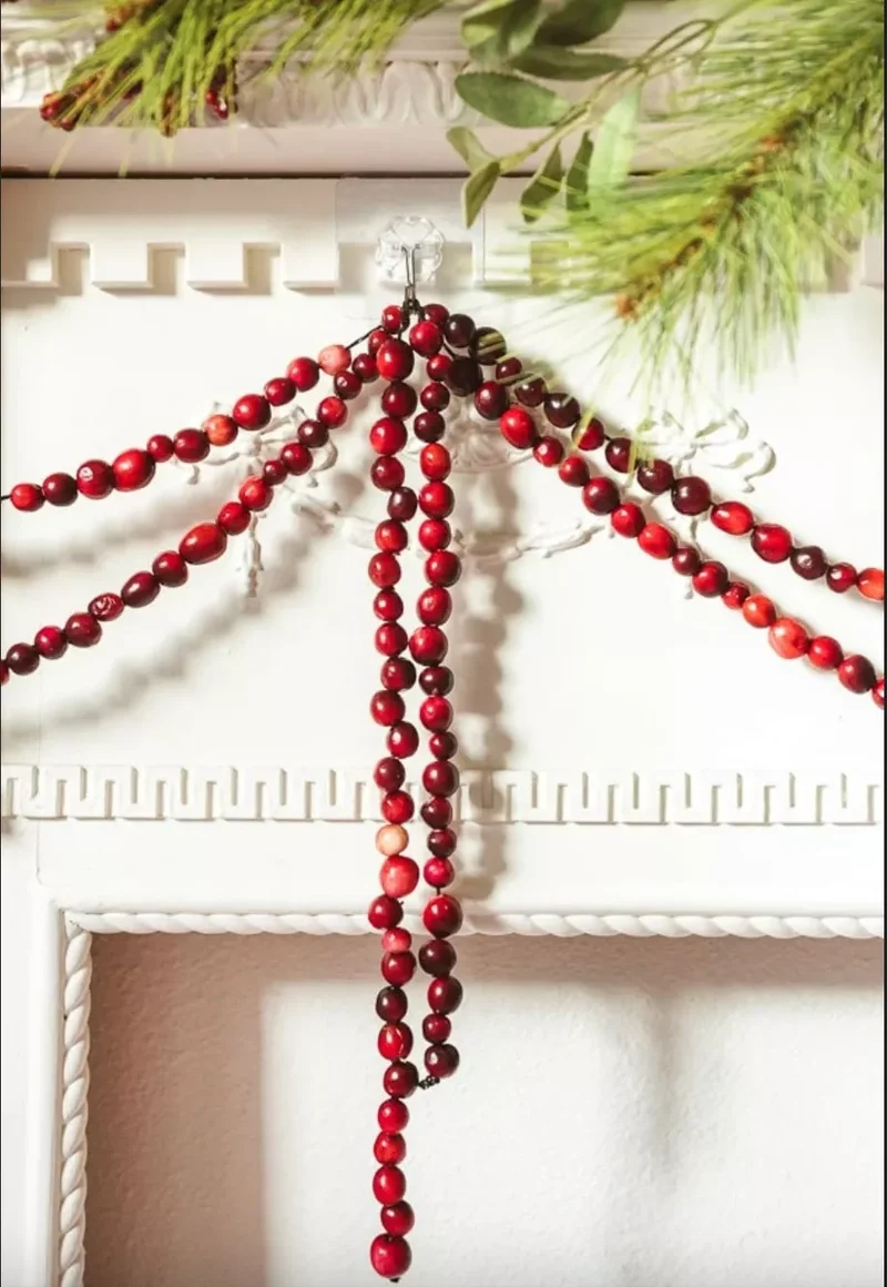 61 Unique DIY Christmas Garland Ideas for Festive Decor 4 DIY Cranberry Garland
