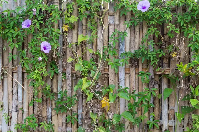 35 DIY Backyard Garden Projects to Transform Your Space 29 DIY Garden Fence