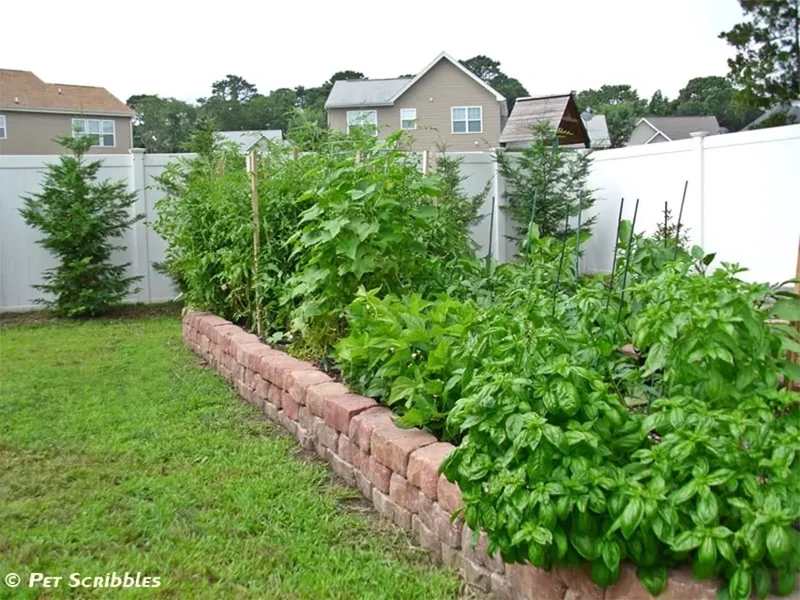 35 DIY Backyard Garden Projects to Transform Your Space 12 DIY Raised Garden Bed for Vegetables