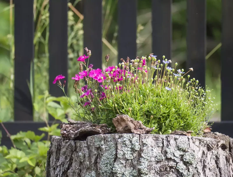 32 Creative Raised Garden Bed Ideas for Your Outdoor Space 5 DIY Tree Stump Planter Raised Bed