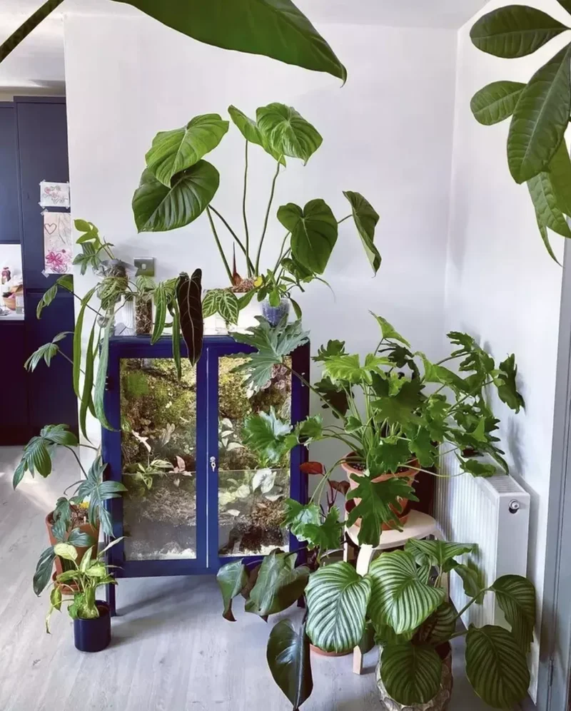 15 IKEA Living Room Ideas Beyond Basic Showroom Displays 11 DIY a Crafty Greenhouse