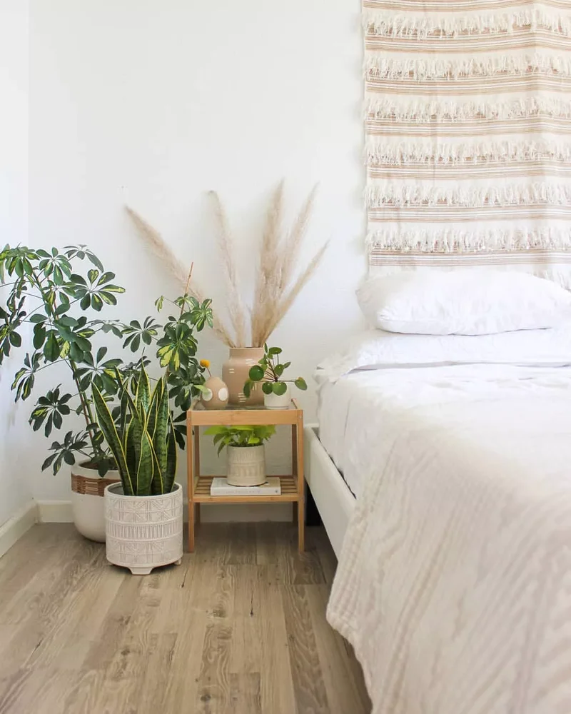 Decorate With Plants