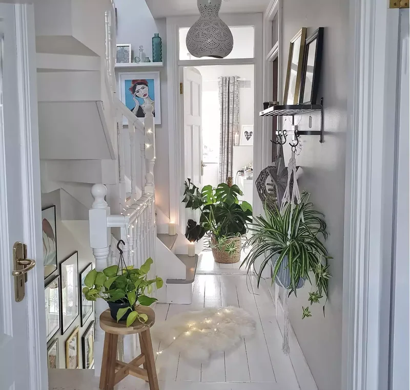 Decorate With Plants