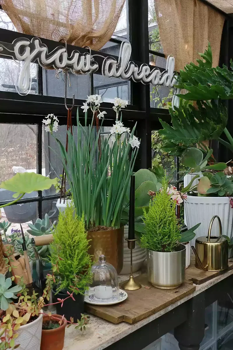 57 Stunning Garden Decor Ideas to Transform Your Outdoor Space 22 Decorate Your Greenhouse Walls