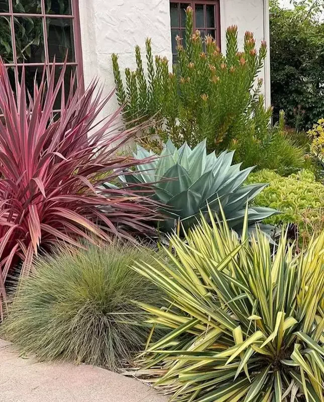 82 Stunning Front Yard Landscaping Ideas to Try This Spring 32 Desert-Style Spiky Succulents