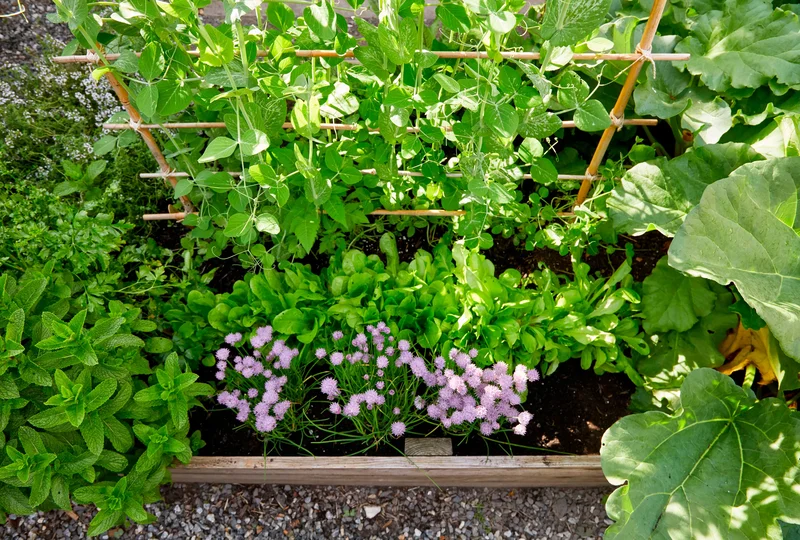 14 Garden Trellis Ideas to Showcase Your Vegetable Plants 11 Design a Bamboo Grid