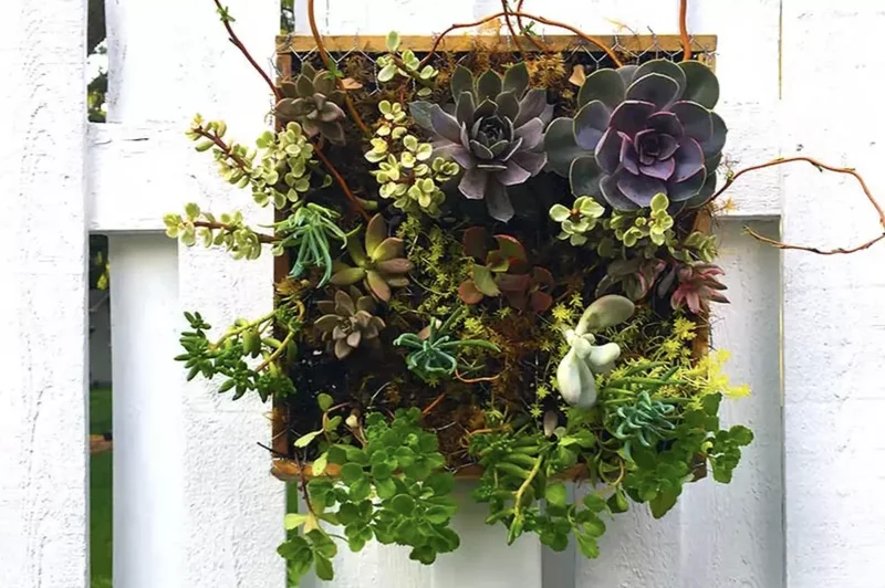 30 Creative Fence Decorating Ideas to Transform Your Yard 28 Design a Succulent Planter