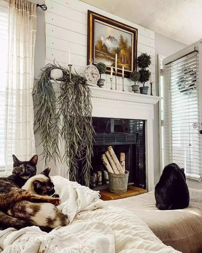 Display Dried Greens