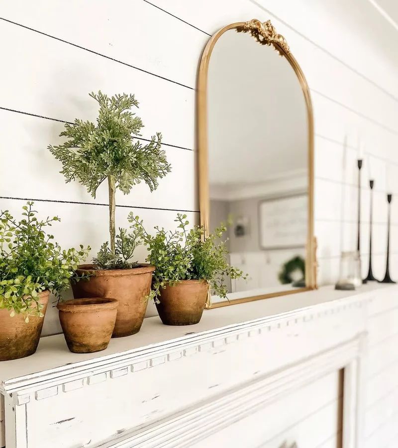 Display a Mix of Plants