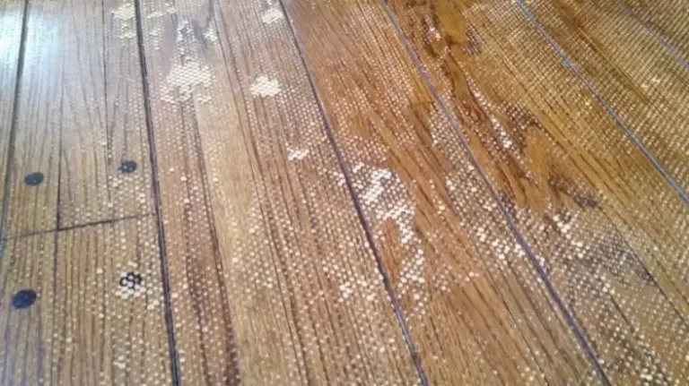 Do Rug Pad Damage Hardwood Floors?