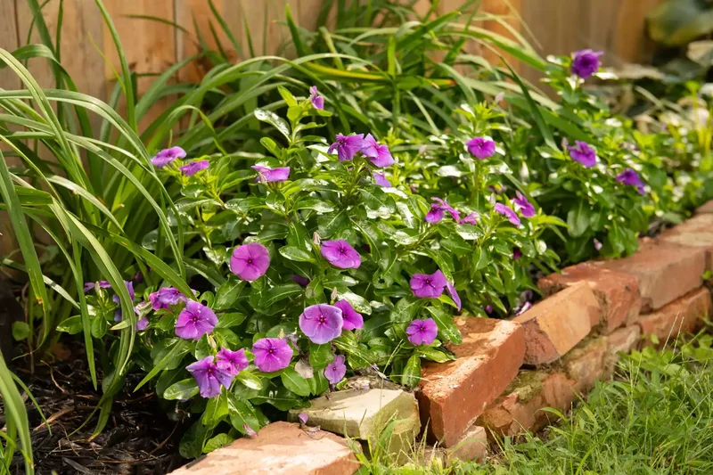 15 Brick Edging Ideas for Stylish Garden Flower Borders 3 Double Stacked Brick Edging