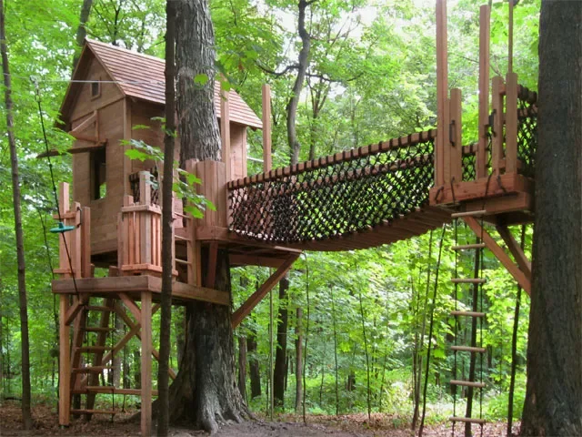 28 Creative Treehouse Ideas Your Kids Will Absolutely Love 6 Double the Fun