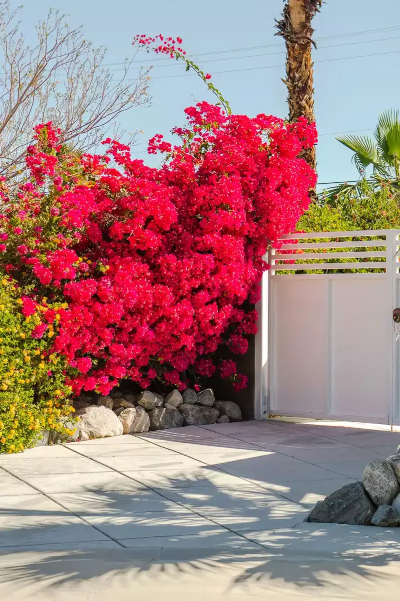 35 Beautiful Driveway Gate Ideas for Any Home Style 13 Driveway Gate Landscaping