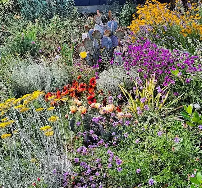 82 Stunning Front Yard Landscaping Ideas to Try This Spring 66 Drought-Tolerant Cottage Garden