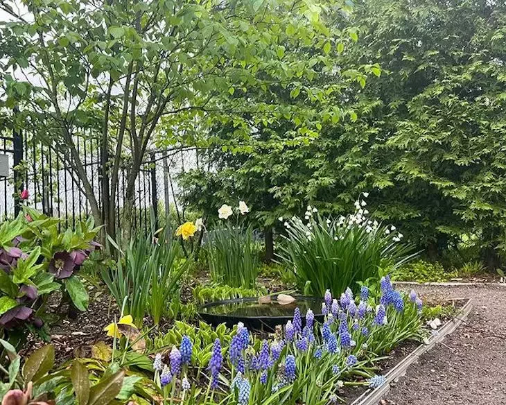 82 Stunning Front Yard Landscaping Ideas to Try This Spring 3 Early Spring Color