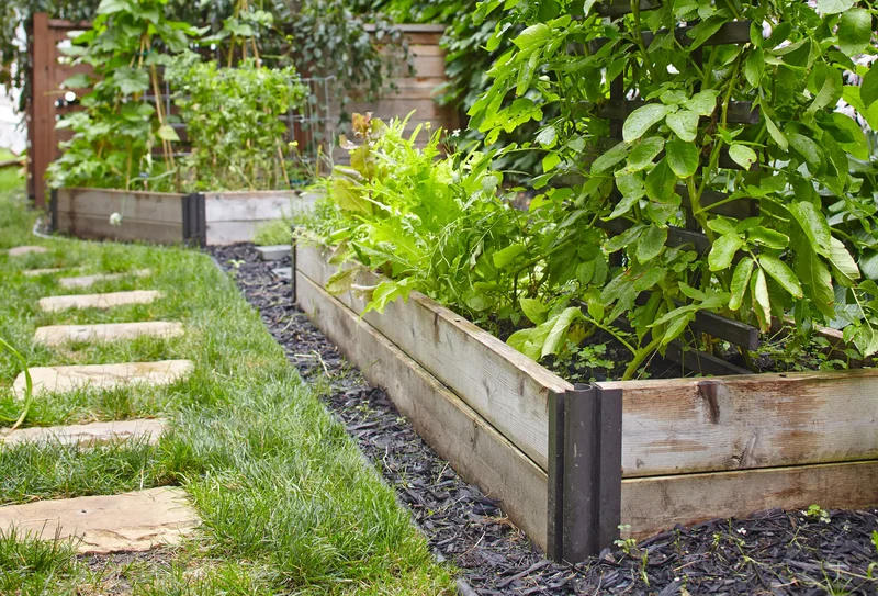 25 Beautiful Raised Garden Bed Ideas for Veggies & Flowers 2 Easy Wood Raised Beds