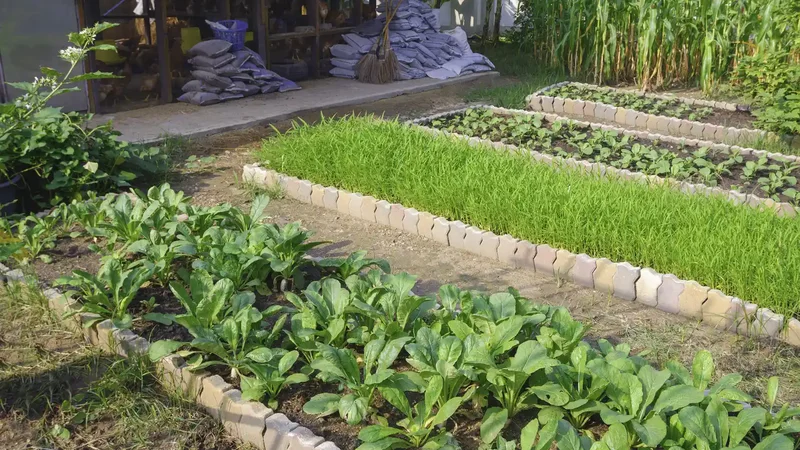 26 Vegetable Garden Ideas for Fresh Homegrown Produce 7 Edge Beds With Stone Pavers