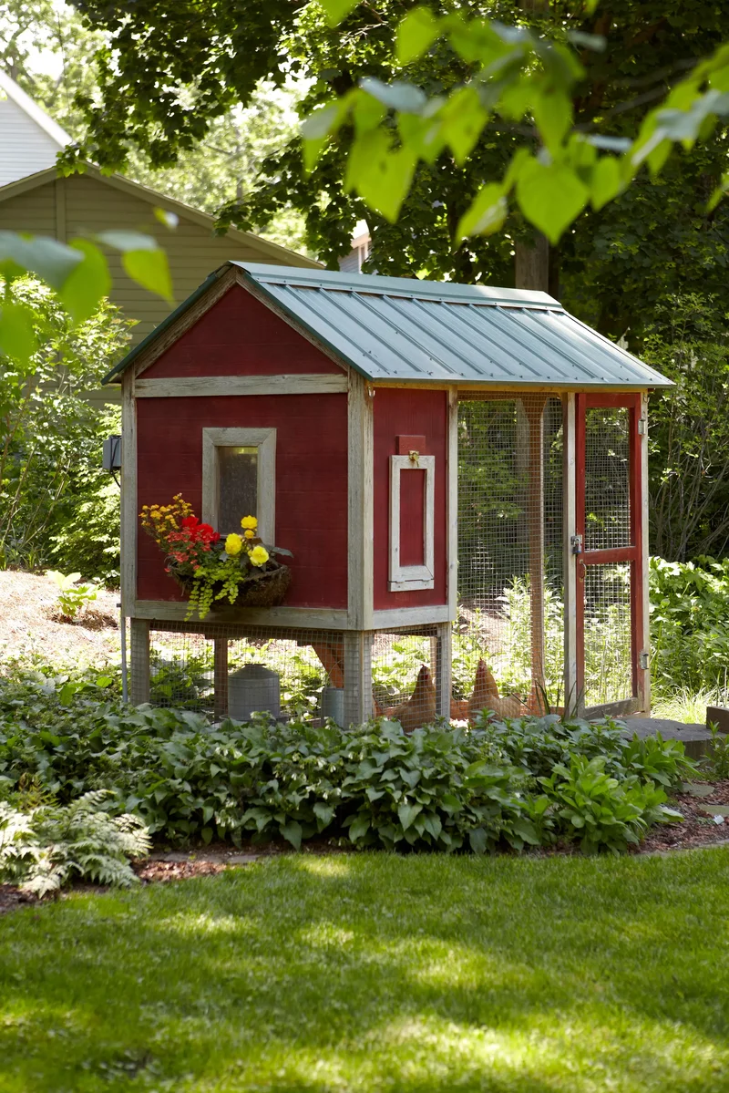 Elevate Your Chicken Coop