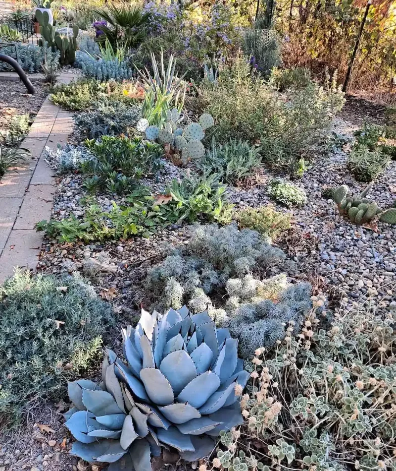 24 Beautiful Desert Landscaping Ideas for Hot Climates 18 Embrace Desert Color Palette
