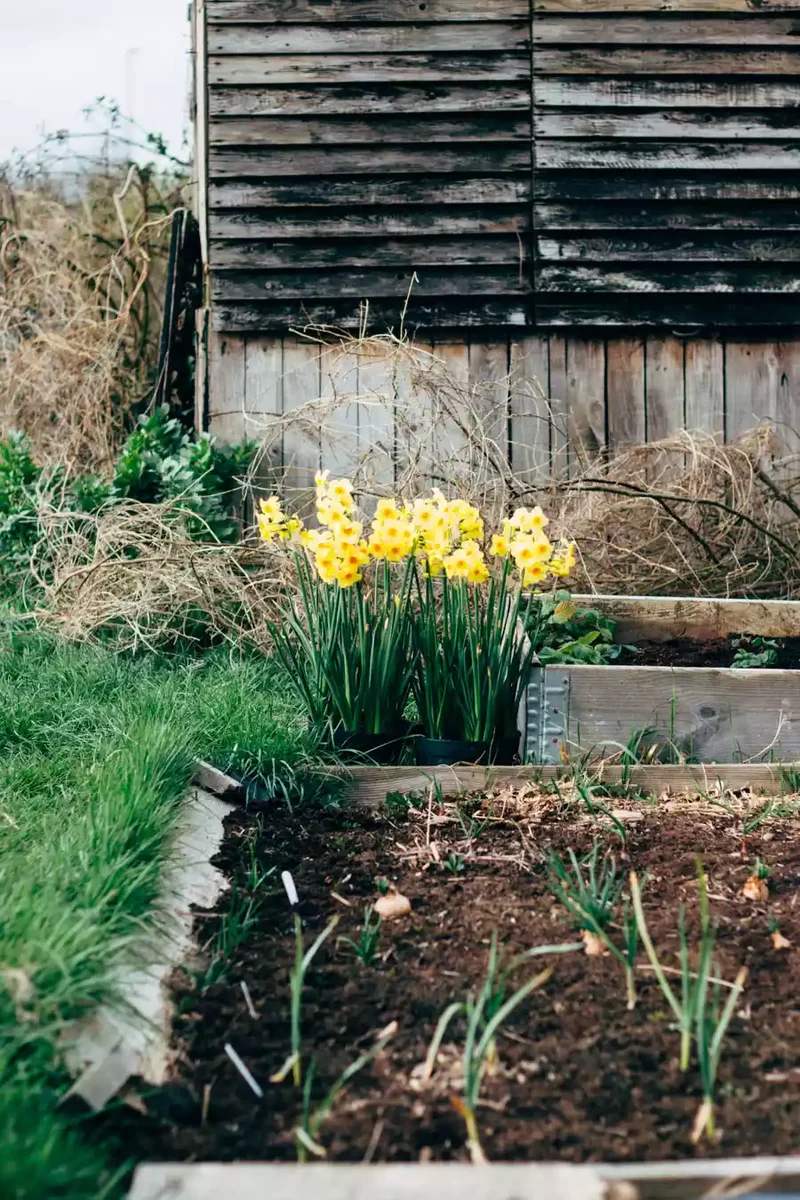 English Country Pallet Fence