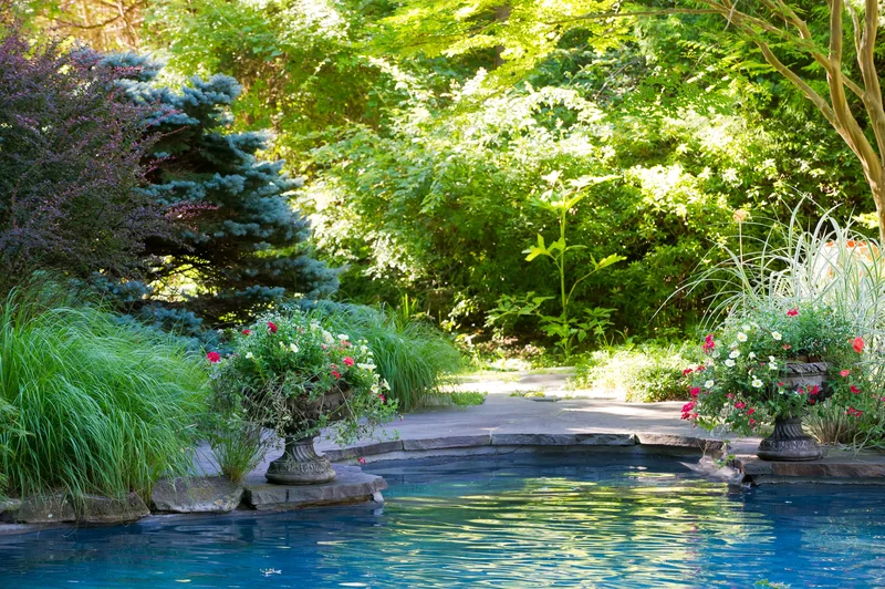 20 Stunning Pool Landscaping Ideas to Design Your Backyard Oasis 14 Enjoy Ornamental Grasses