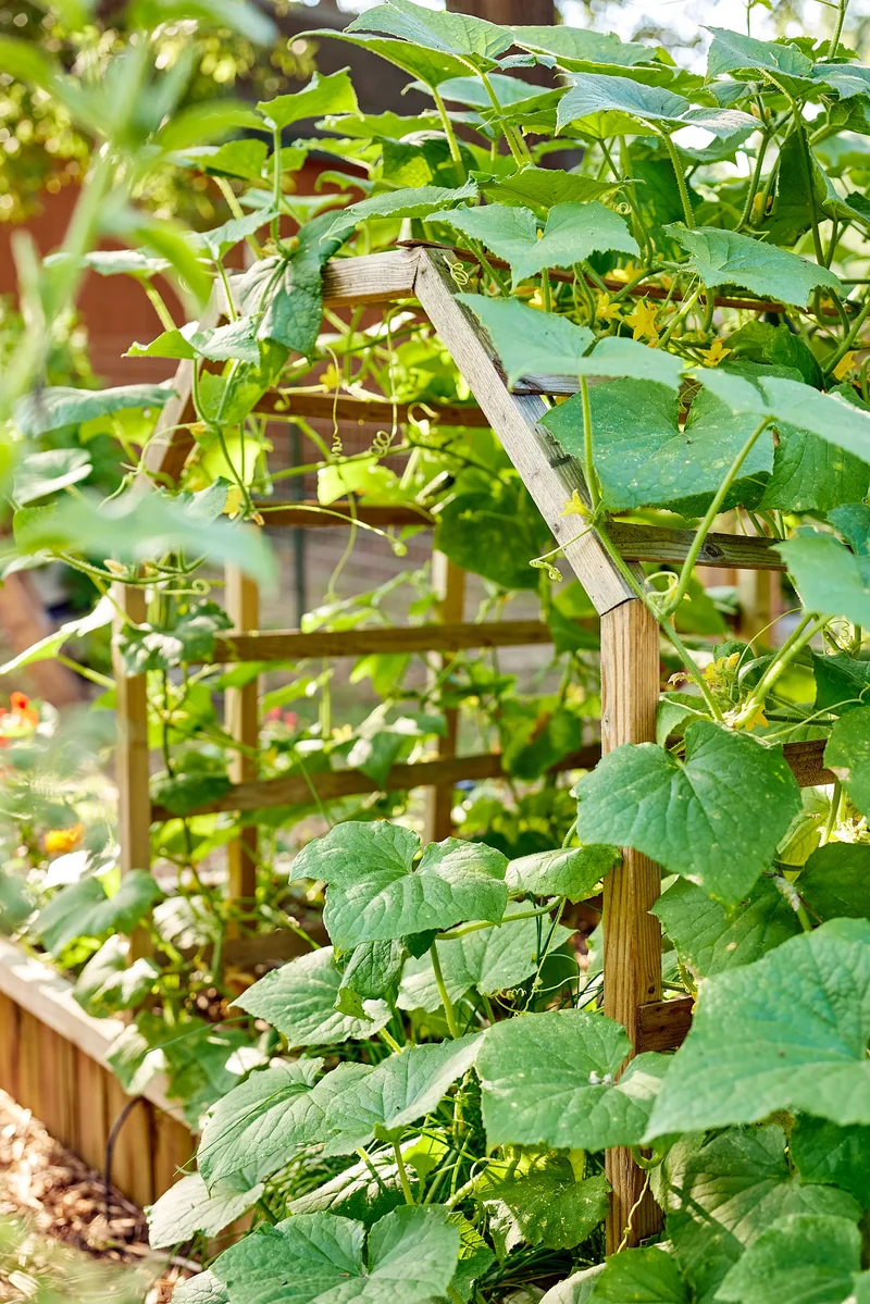 14 Garden Trellis Ideas to Showcase Your Vegetable Plants 14 Experiment with Shape