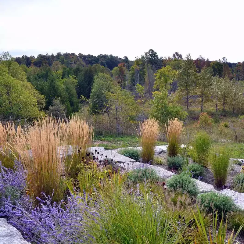 Eye-Catching Retaining Walls