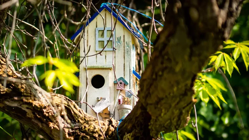 Fairy Bird Houses