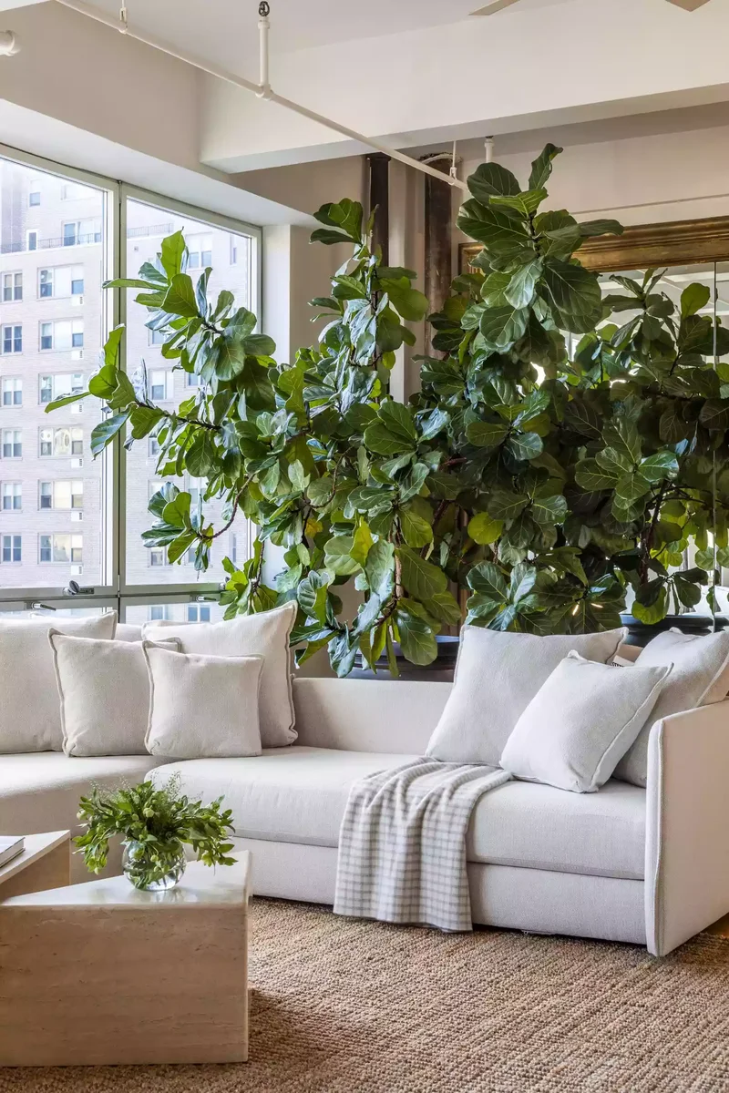 35 Spacious Living Room Ideas That Will Wow Your Guests 2 Feature a Huge Houseplant