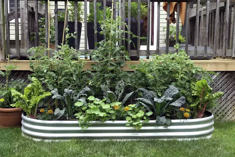 26 Vegetable Garden Ideas for Fresh Homegrown Produce 4 Fill a Metal Bed With a Medley of Veggies