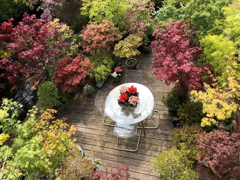 15 Deck Skirting Solutions to Enhance Your Outdoor Space 5 Foliage Deck Skirting