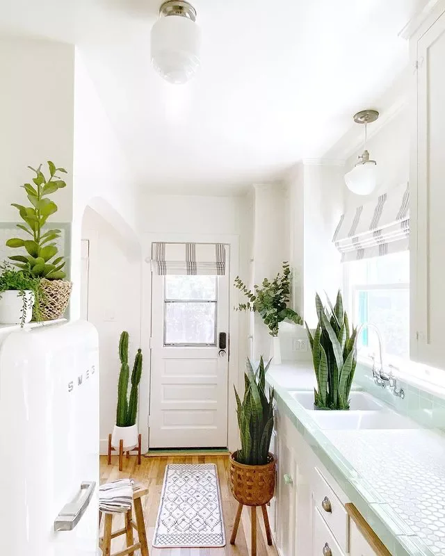 25 Stunning Entryway Rug Ideas for a Memorable First Look 17 Freshen It Up