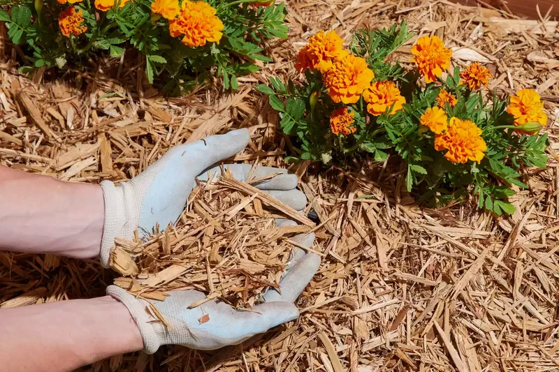 43 Budget-Friendly Backyard Makeover Ideas You'll Love 14 Freshen the Mulch