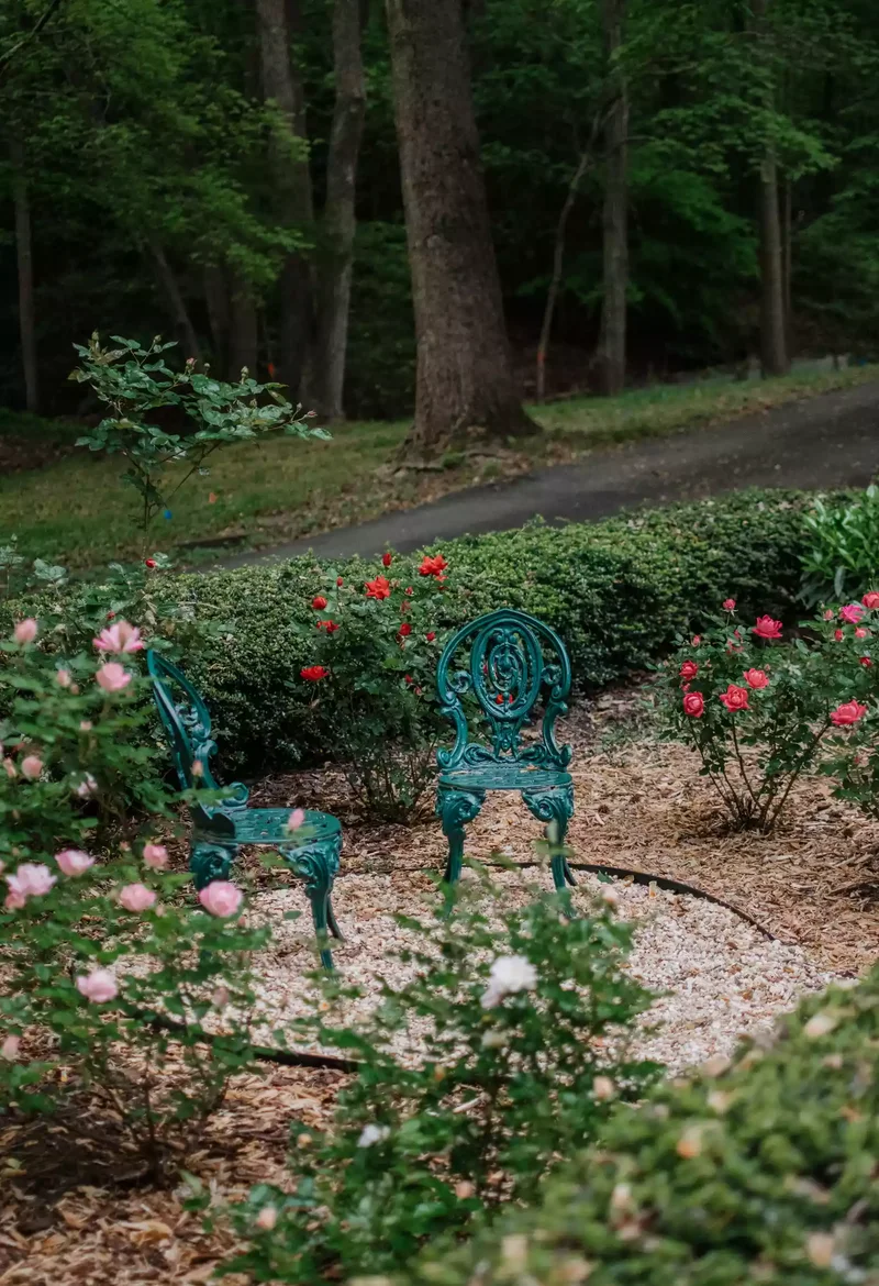 82 Stunning Front Yard Landscaping Ideas to Try This Spring 33 Front Yard Rose Garden Retreat