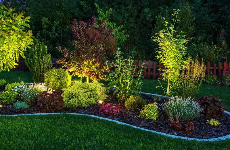 Garden Bed Illumination