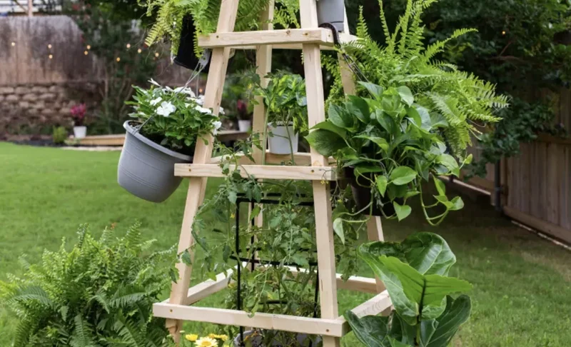 35 Garden Trellis Ideas for Beautiful Supported Plants 2 Garden Obelisk Trellis