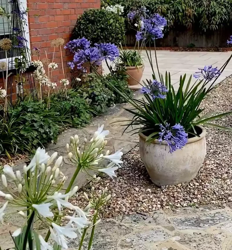 Gravel and Container Edging