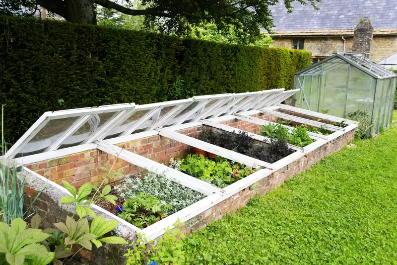 22 Winter Garden Projects That'll Inspire Cold-Weather Planting 17 Grow Cold Hardy Crops
