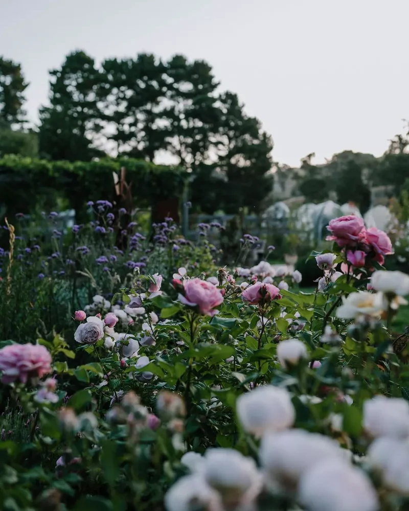 26 Secret Garden Ideas to Bring Your Favorite Books to Life 10 Grow Fragrant Flowers