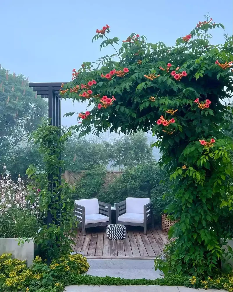 26 Secret Garden Ideas to Bring Your Favorite Books to Life 6 Grow Trumpet Vine