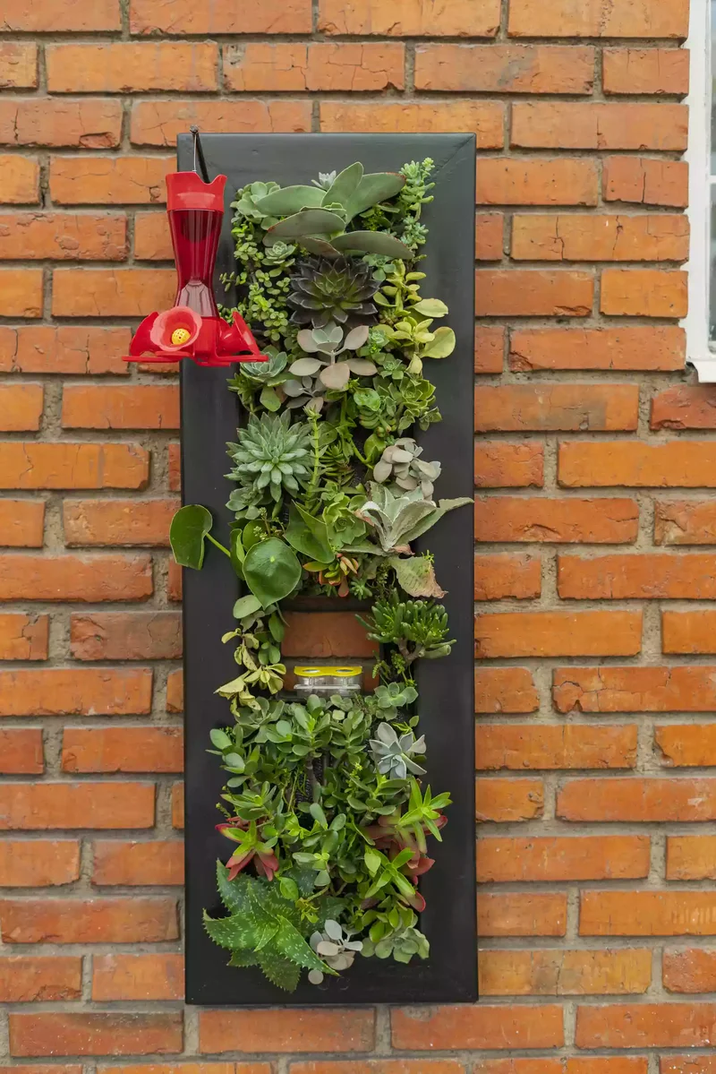 31 Creative Vertical Garden Designs for Your Home 15 Grow a Succulent Garden in an Old Shutter