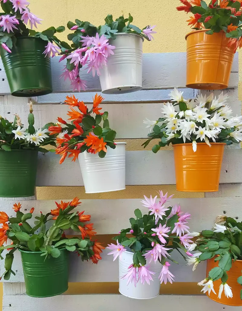 31 Creative Vertical Garden Designs for Your Home 6 Hang Colorful Tin Pots From a Pallet
