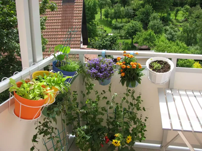 26 Vegetable Garden Ideas for Fresh Homegrown Produce 5 Hang Containers From Your Balcony Railing