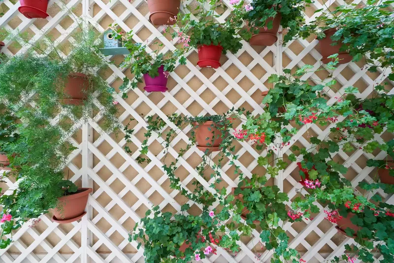 31 Creative Vertical Garden Designs for Your Home 22 Hang Plants Along a Trellis
