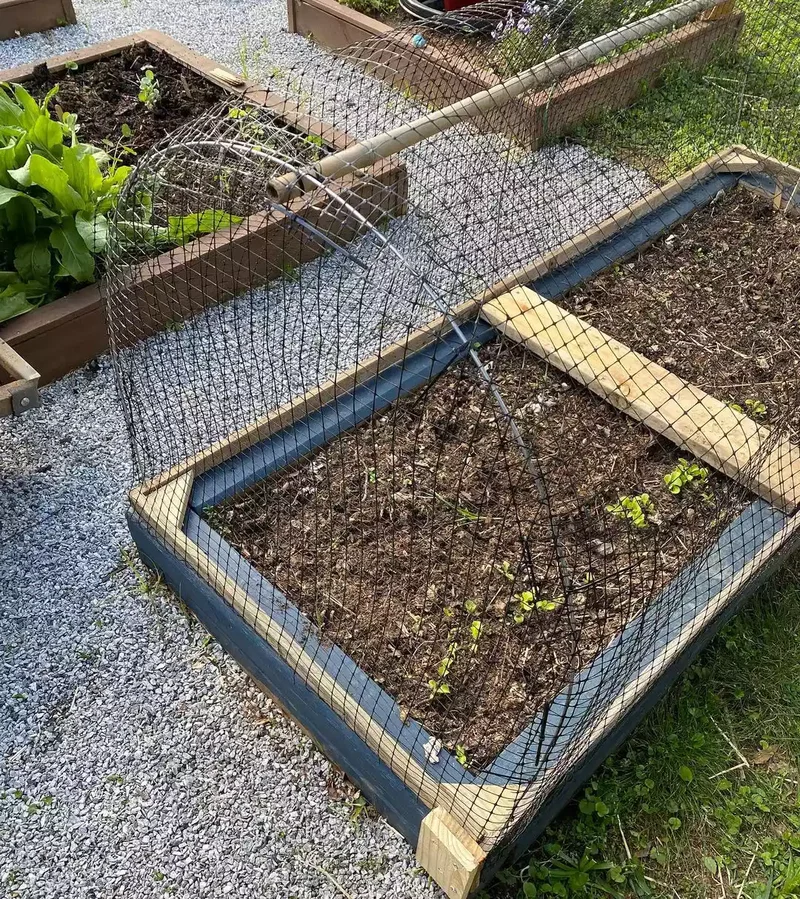 32 Creative Raised Garden Bed Ideas for Your Outdoor Space 16 Hoop House Raised Bed