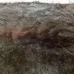 How Much Does A Bear Skin Rug Cost