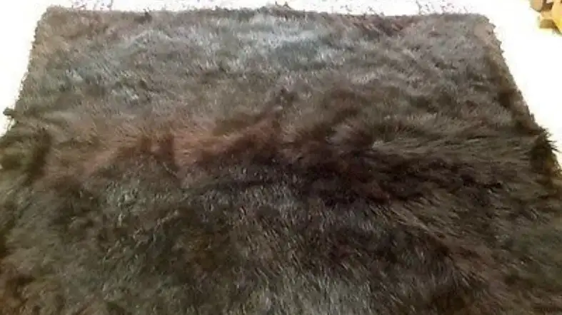 How Much Does A Bear Skin Rug Cost?