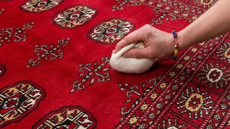 How To Clean Dog Urine From Silk Rug